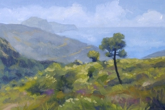 125_Mallorca_04_aP