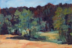 Nh_Landschaft_02_R31
