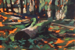 Nh_Wald_04
