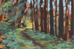 Nh_Wald_05