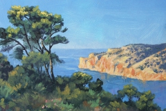 VCleve_Mallorca_Andritxol_01