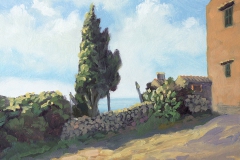 VCleve_Mallorca_PuigMaria03a